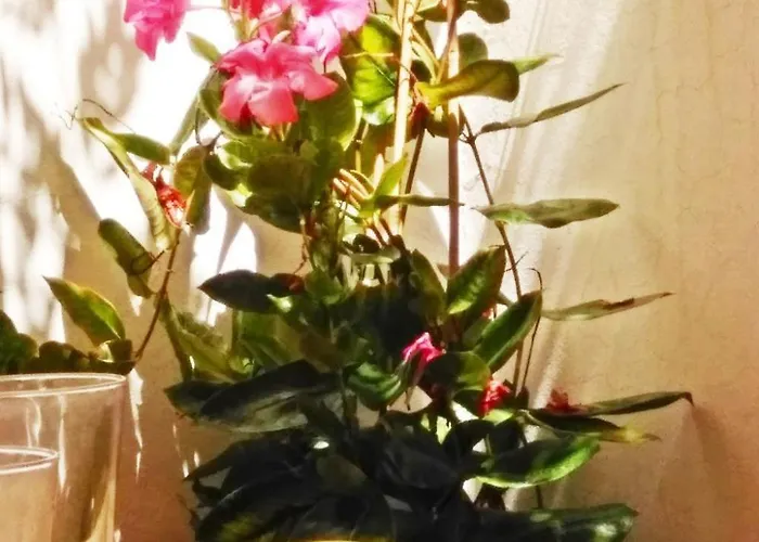 Casa Dos Angeles By Interhome بيت للعطل